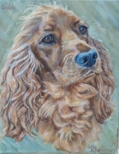 outeniqua family market