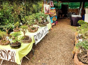 outeniqua family market