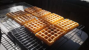 outeniqua family market