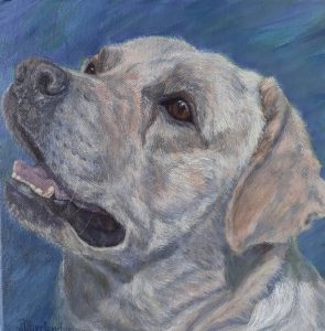 outeniqua family market