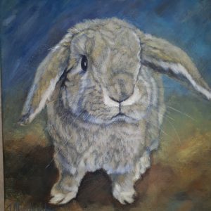 outeniqua family market