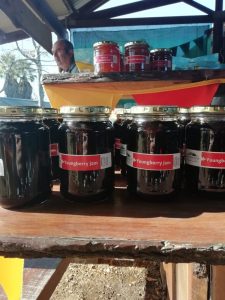 outeniqua family market