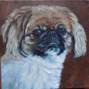 outeniqua family market